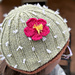 Barrel Cactus Beanie pattern 