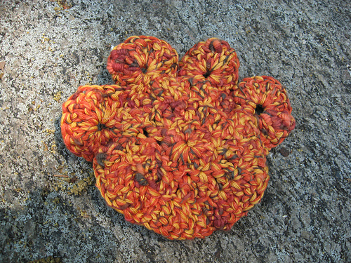 Paw Print Scrubbie photo 7