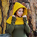 Harmony Hooded Cowl pattern 