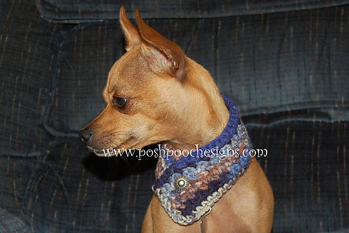 Button Scarf For Dogs photo 6