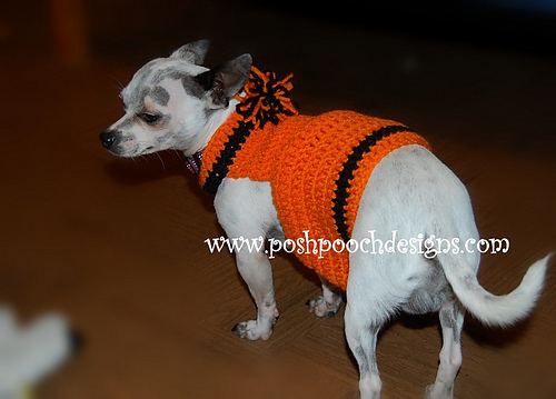 Easy Striped Sports Team Dog Sweater photo 7
