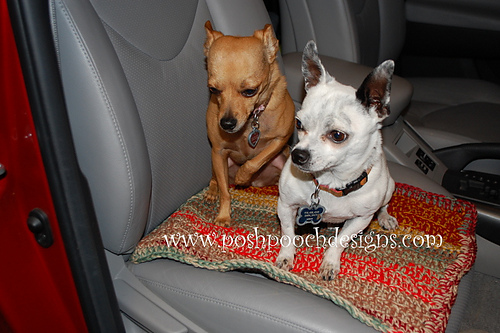Pet Blanket And Cushion photo 11