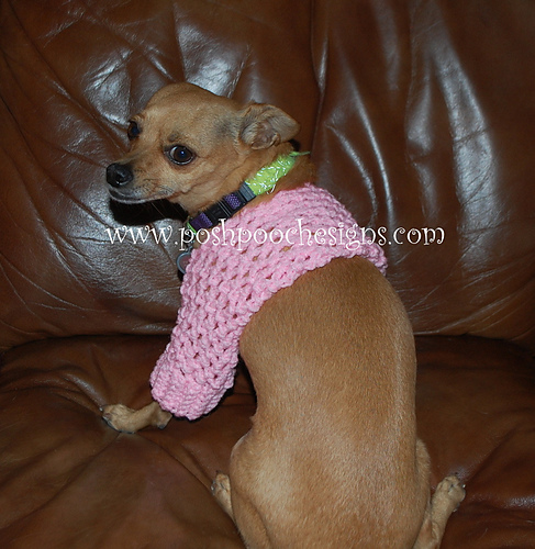 Dog Shrug for Little Dogs photo 1