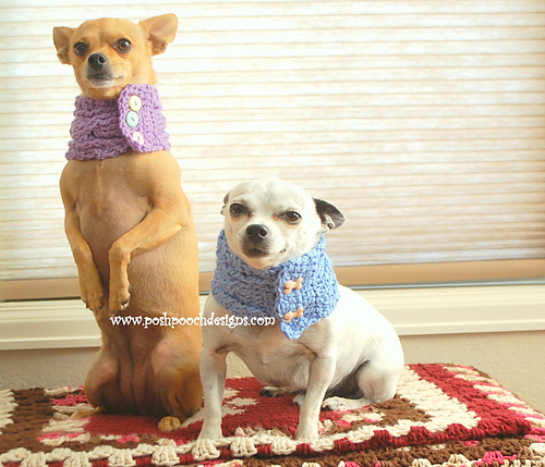 Cable Stitch Dog Cowl With Buttons photo 1