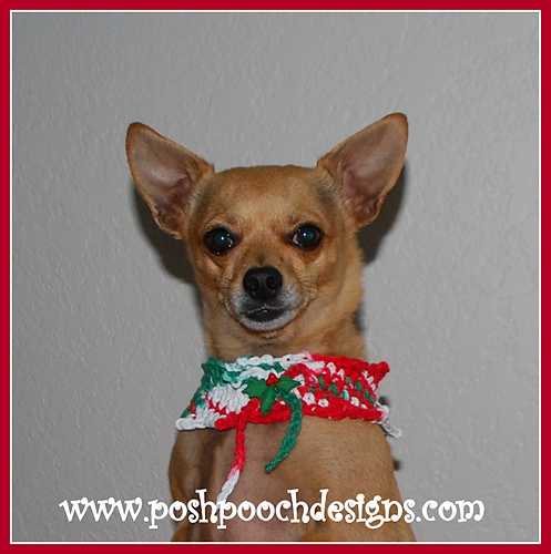 Christmas Candy Dog Cowl photo 1