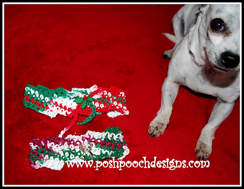 Christmas Candy Dog Cowl photo 2
