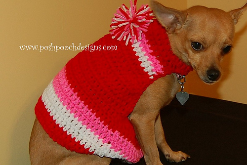 Easy Striped Sports Team Dog Sweater photo 4