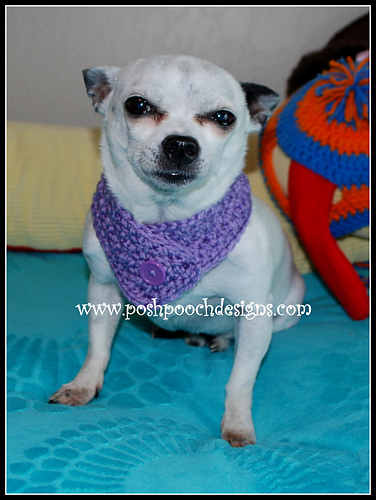 Button Scarf For Dogs photo 9