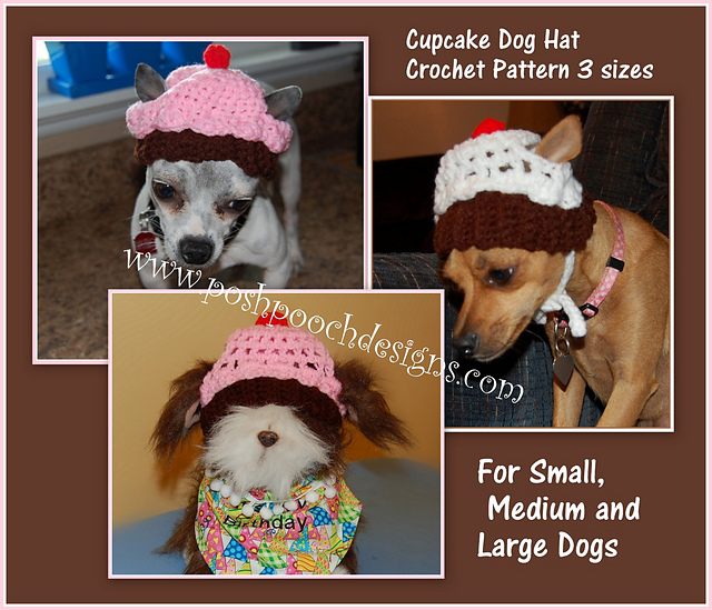 tiny dog hats