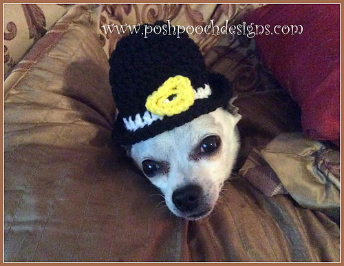 Little Pilgrim Hat photo 5