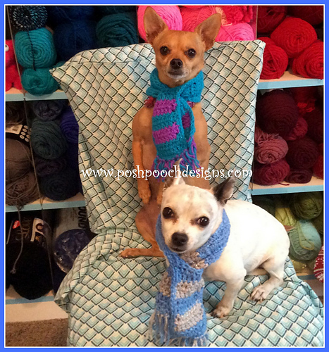 Striped Dog Scarf photo 4