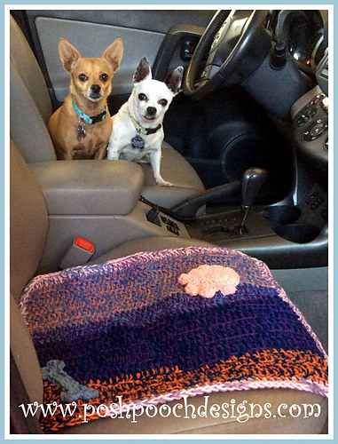 Pet Blanket And Cushion photo 8