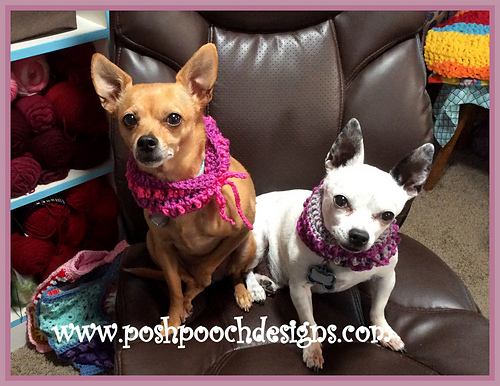 Dog Day Cowl photo 2