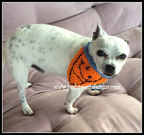 Baseball Dog Bandanna photo 3