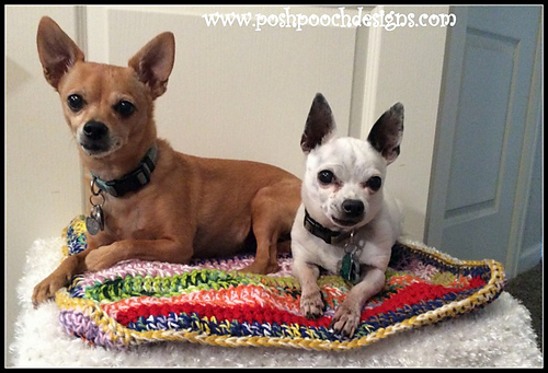 Pet Blanket And Cushion photo 4