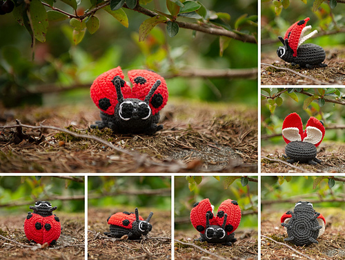 Nyckelpiga - Kim Doverstål