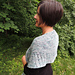 Wild Goose Shawlette pattern 