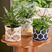 Patterned Plant Cozies pattern