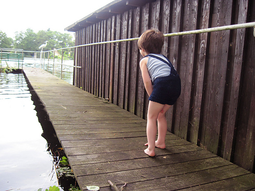 Ahoy Shorts photo 3