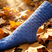 Dandelion Socks (Toe Up) pattern 