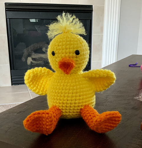 'Lil Chickie Duck photo 2