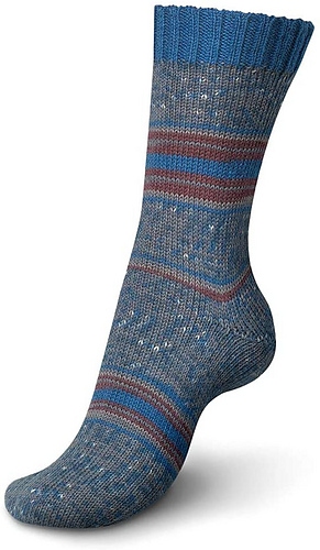 Regia's marketing photo of the finished sock.