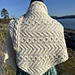 A Ravendipity Shawlette pattern 