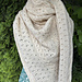 Raven's Applemere Wrap pattern 