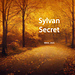 Sylvan Secret pattern 