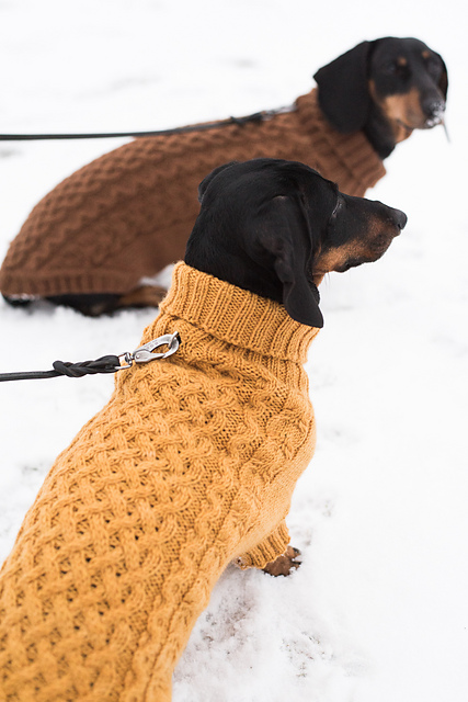 Ravelry: Cabled dog sweater pattern by 