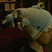 Shark Bob Hat pattern 