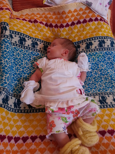 Baby Blanket Latvian Garden photo 12