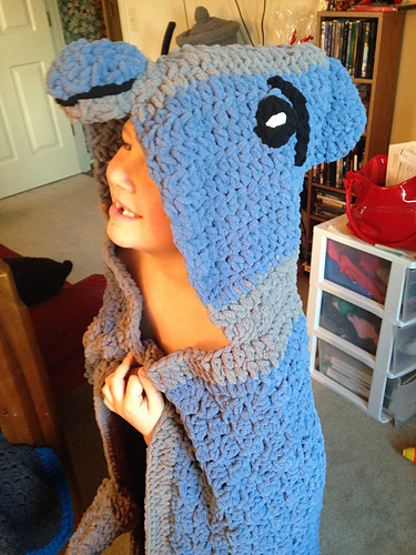 Dolphin Blanket photo 6