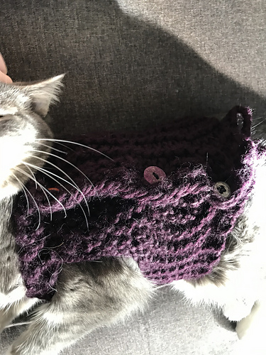 Picture Idea: Ravelry Cat Anxiety Wrap Pattern By Thena Wilson