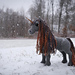 Fantasy Horse Base pattern