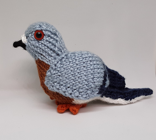 Pudgy Pigeon photo 2