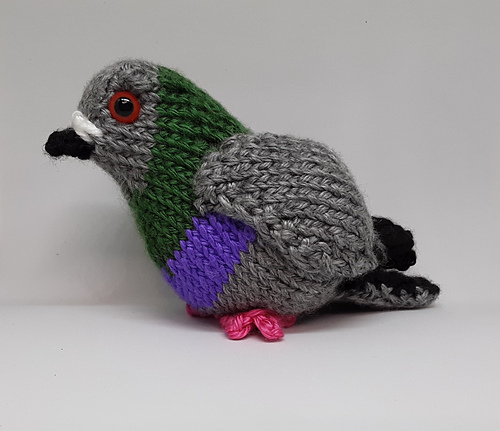 Pudgy Pigeon photo 1