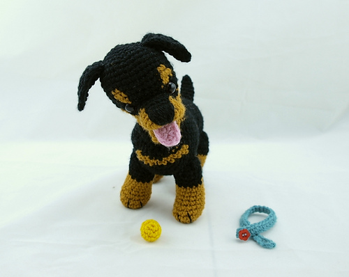 Rottweiler puppy accessories photo 4