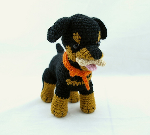 Rottweiler puppy accessories photo 3