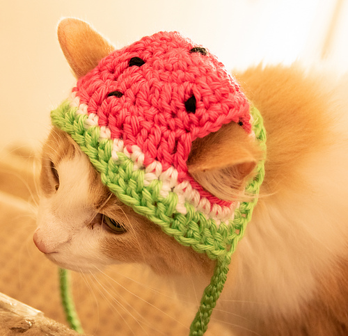 小物 ANDWANG Fluffy cat knit hat Fluffy cat knit hat