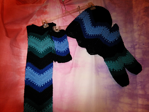 Stellar Jay Set photo 1