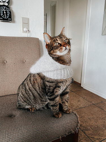 Tromsø Hoodie Mini - Sisu Knitwear