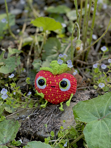 Barry jordbær - Daryna Demediuk