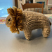 Lion pattern 