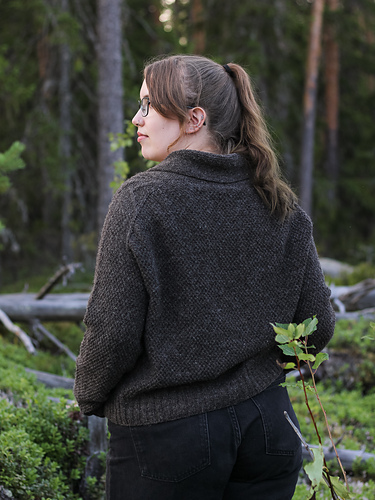 Husk Meg - Sanni Pauliina