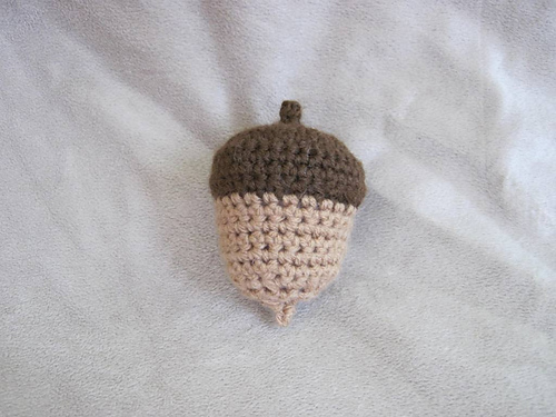 Acorn photo 1