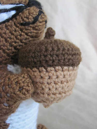 Acorn photo 2