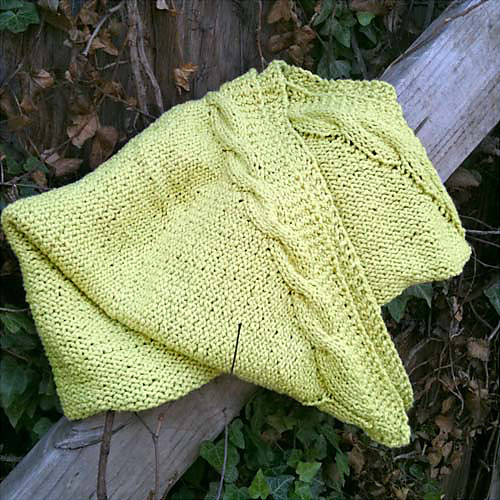 Little Sprout Baby Blanket photo 1