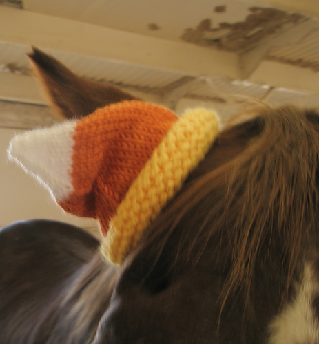 Candy Corn Horse Hat photo 4