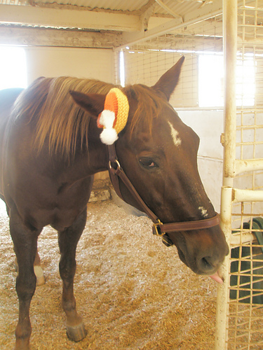 Candy Corn Horse Hat photo 2